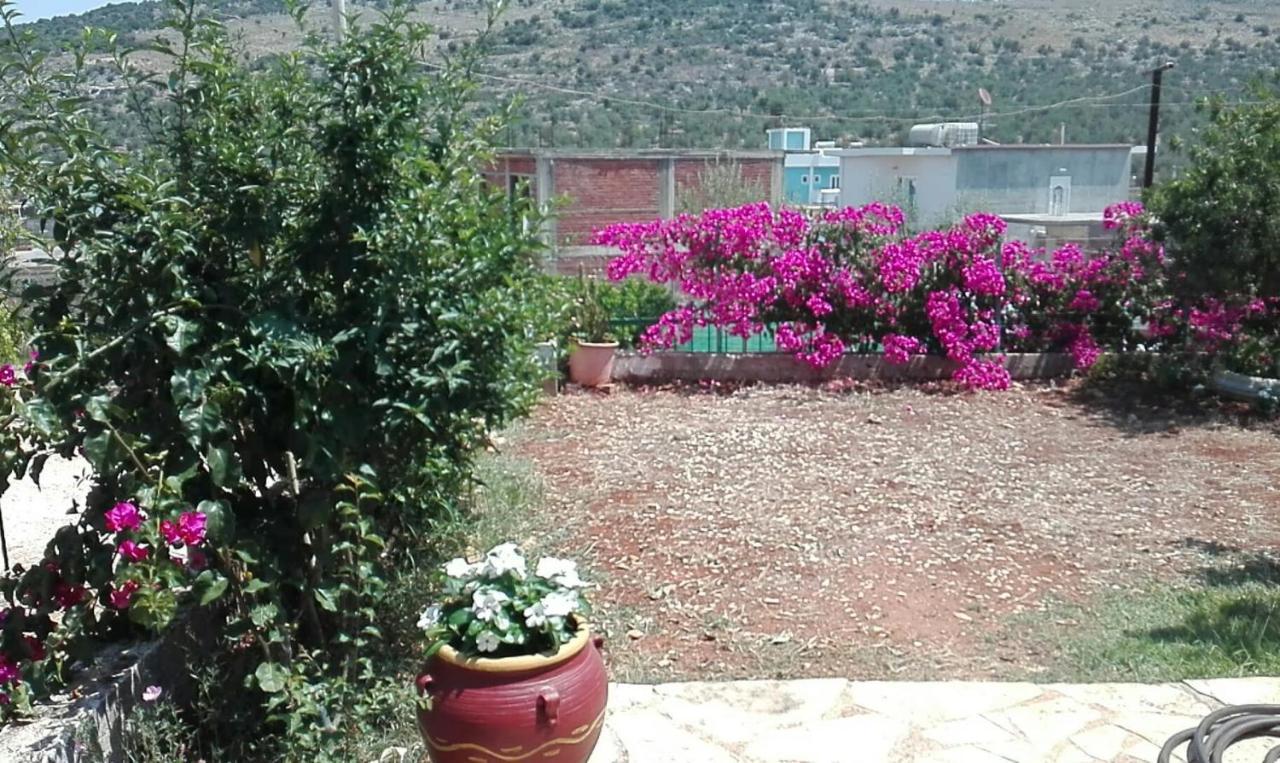 Baci Apartments كساميل المظهر الخارجي الصورة